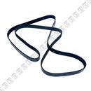 Correa-Alternador-Chevrolet-Captiva-2.4_-CORR-ALT-CAPTIVA2.4-11----1