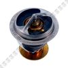 Termostato-Motor-Ford-Edge-TERMOSTATO-EDGE-08---2