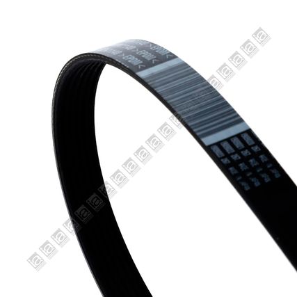 Correa-Accesorios-Ford-Escape-3.0-CORR-ACC-ESCAPE---2