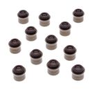 Obturadores-Valvulas-Mazda-B2600-GORRO-VALV-B2200-626-X8---1