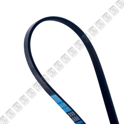 Correa-Direccion-Hidraulica-CORR-DIR-HID-STAREX---2