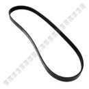 Correa-Alternador-Accesorios-Volkswagen-New-Jetta-CORR-ACC-TIGUAN---1