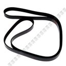 Correa-Alternador-Carnival-CORR-ALT-CARNIVAL---1