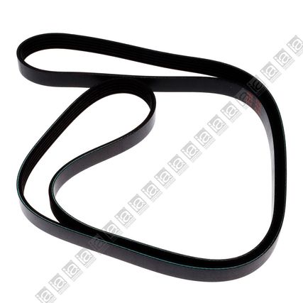 Correa-Alternador-Carnival-CORR-ALT-CARNIVAL---1