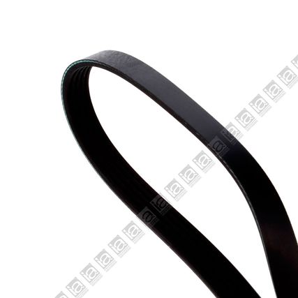 Correa-Alternador-Carnival-CORR-ALT-CARNIVAL---2