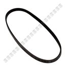 Correa-Alternador-Atos-CORR-ALT-ATOS-I10-PICANTO---1