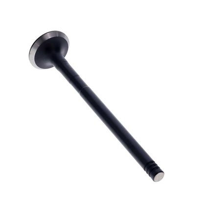 Valvula-Escape-Ford-Fiesta-Zetec-1.25-VALVULA-FIESTA-1.25-ESC---1