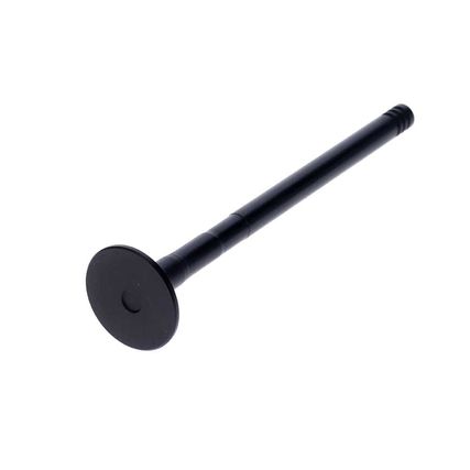 Valvula-Escape-Ford-Fiesta-Zetec-1.25-VALVULA-FIESTA-1.25-ESC---2