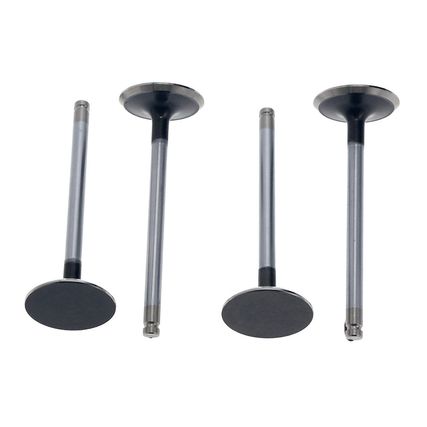 Valvula-Escape-Chevrolet-Dmax-2.4-Luv-2200-VALVULA-LUV2.2-ESC---1 Valvula-Escape-Chevrolet-Dmax-2.4-Luv-2200-VALVULA-LUV2.2-ESC---1