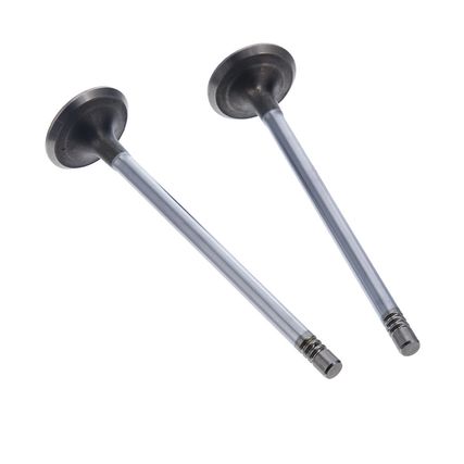 Valvulas-Escape-Ford-Fiesta-Supercharger-VALVULA-SUPERCHARG-ESC---1 Valvulas-Escape-Ford-Fiesta-Supercharger-VALVULA-SUPERCHARG-ESC---1