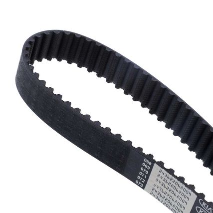 Correa-Distribucion-Carnival-CORR-DIST-CARNIVAL---2