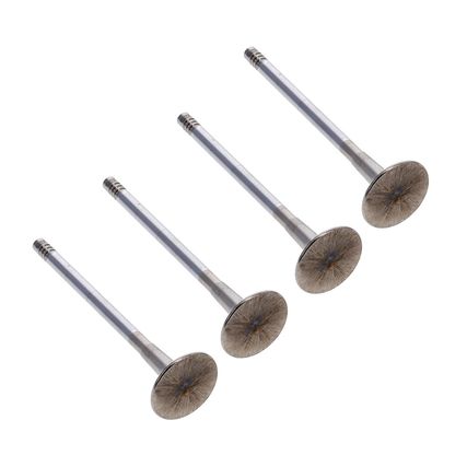 Valvula-Escape-Motor-Volkswagen-Bora-2.0-VALVULA-TIGUAN-ESC---2