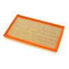 Filtro Aire Motor Ford Ecosport F.AIRE ECOSPORT 09/12 - 1