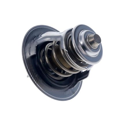 Termostato Vision TERMOSTATO VIS-ELAN-H100 DIESE - 1 Termostato Vision TERMOSTATO VIS-ELAN-H100 DIESE - 1