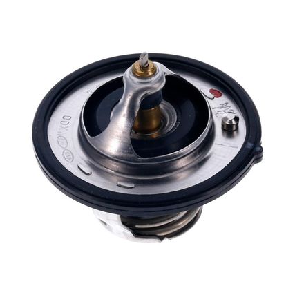 TERMOSTATO ION - 1 TERMOSTATO ION - 1