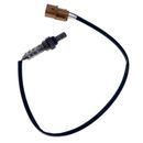 SENSOR-OXIGENO-VERNA---1