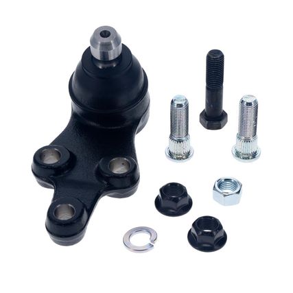 Rotula-Tijera-Delantera-Sedona-ROTULA-CARNI-G-CARN-VERA-G-STA---1