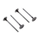 Valvula-Admision-Tucson-New-Sportage-Diesel-VALVULA-TUCS-NEW-SPOR-DIES-ADM---1