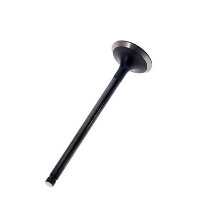 Valvula-Escape-Picanto-VALVULA-PICANTO1.1-ATOS1.1-ESC---1 Valvula-Escape-Picanto-VALVULA-PICANTO1.1-ATOS1.1-ESC---1