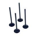 Valvula-Escape-Picanto-VALVULA-PICANTO1.1-ATOS1.1-ESC---1