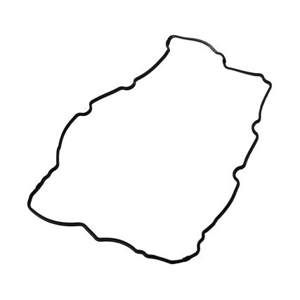 Empaque-Tapa-Valvulas-Izquierdo-Ford-Escape-3.0-EMP-TAPA-VALV-ESCAPE-IZQ---1 Empaque-Tapa-Valvulas-Izquierdo-Ford-Escape-3.0-EMP-TAPA-VALV-ESCAPE-IZQ---1