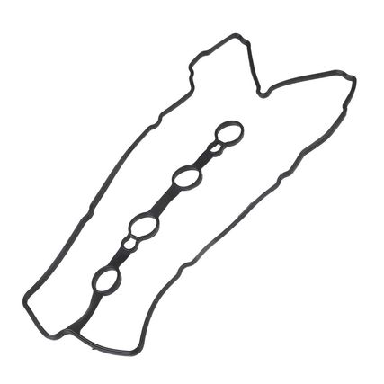 000000000009024064+_1