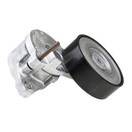 000000000055497888_4